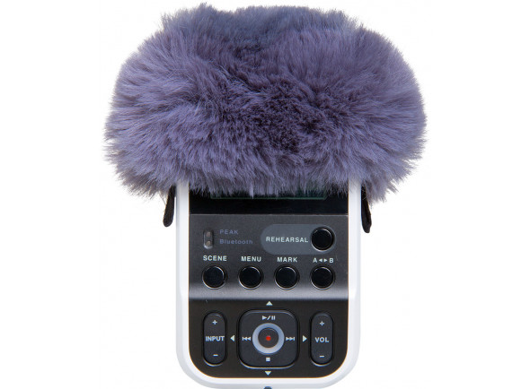 <b>Roland R07-WS Proteção de vento para gravador audio portatil Roland R-07</b> <b>Roland R07-WS Proteção de vento para gravador audio portatil Roland R-07</b>